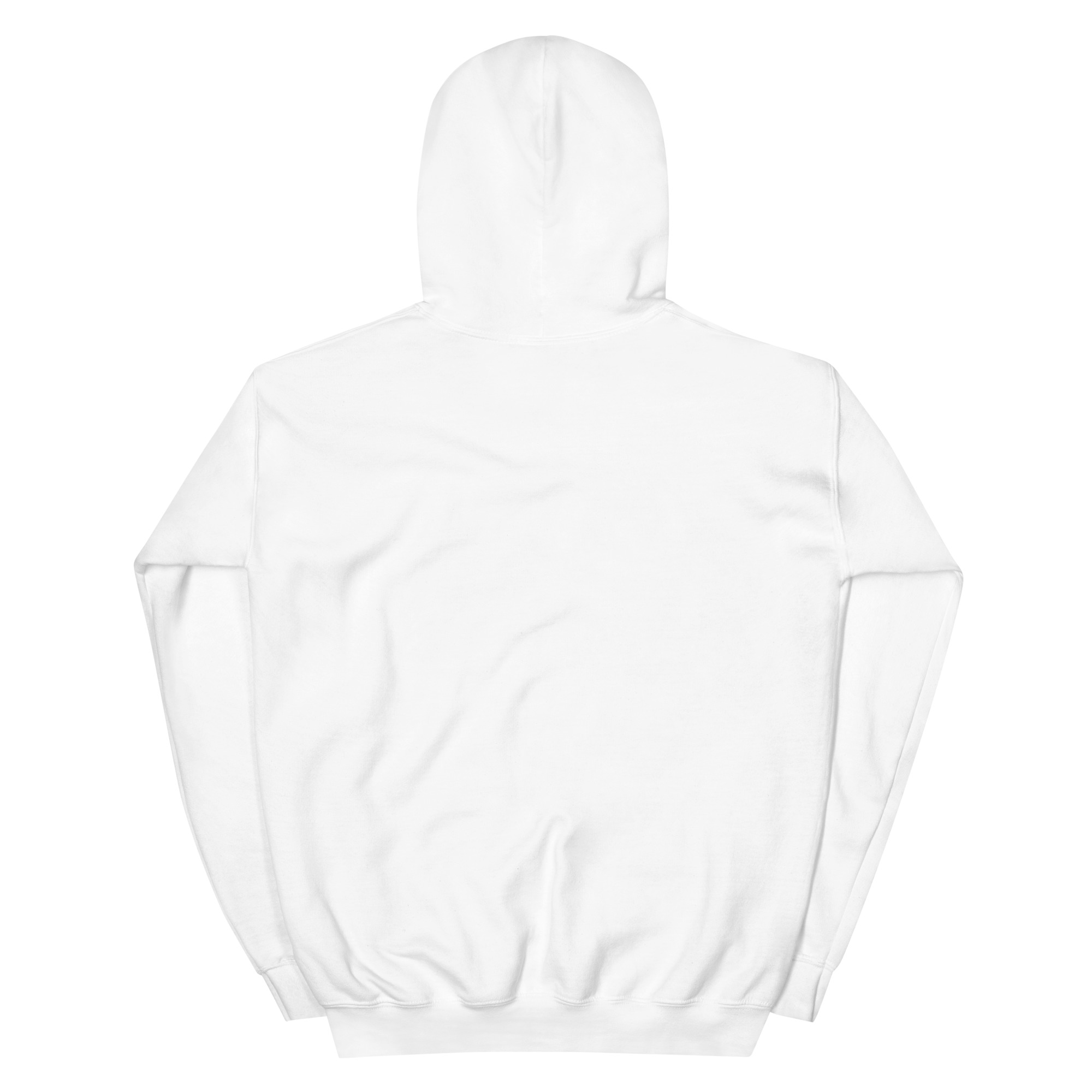 Sweat à Capuche ASBAM Extérieur – Image 2